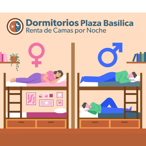 Ilustración: dormitorios separados para hombres y mujeres en Dormitorios Plaza Basílica